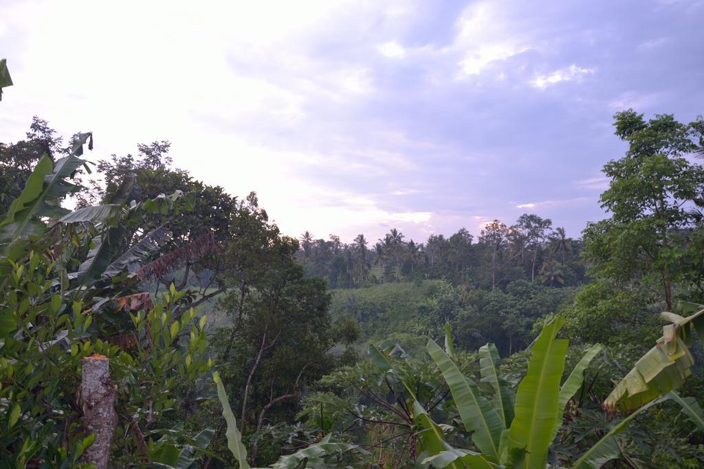 Pondok Bali Ubud  Luaran gambar