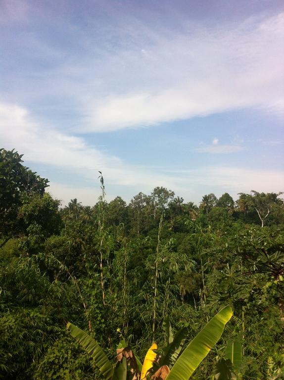Pondok Bali Ubud  Luaran gambar